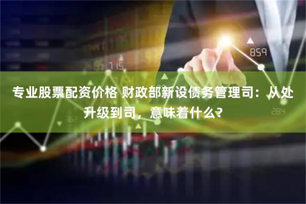 专业股票配资价格 财政部新设债务管理司：从处升级到司，意味着什么？